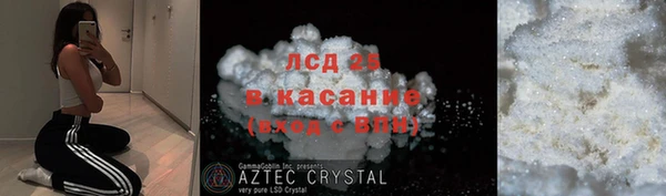 ГАЛЛЮЦИНОГЕННЫЕ ГРИБЫ Абаза