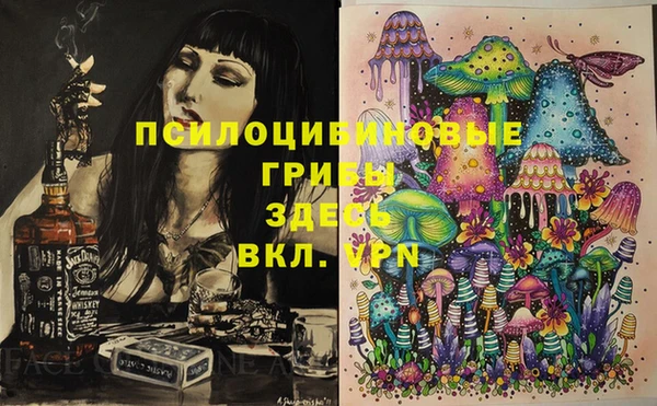 ГАЛЛЮЦИНОГЕННЫЕ ГРИБЫ Абаза