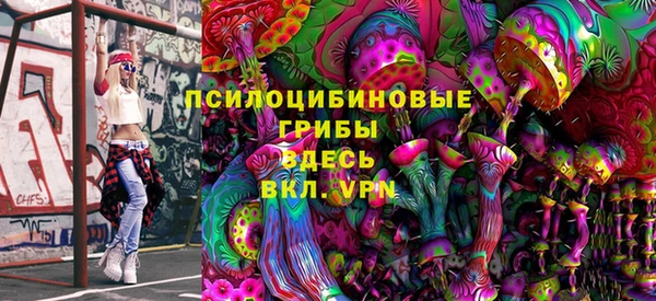 ГАЛЛЮЦИНОГЕННЫЕ ГРИБЫ Абаза