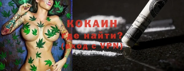 ГАЛЛЮЦИНОГЕННЫЕ ГРИБЫ Абаза